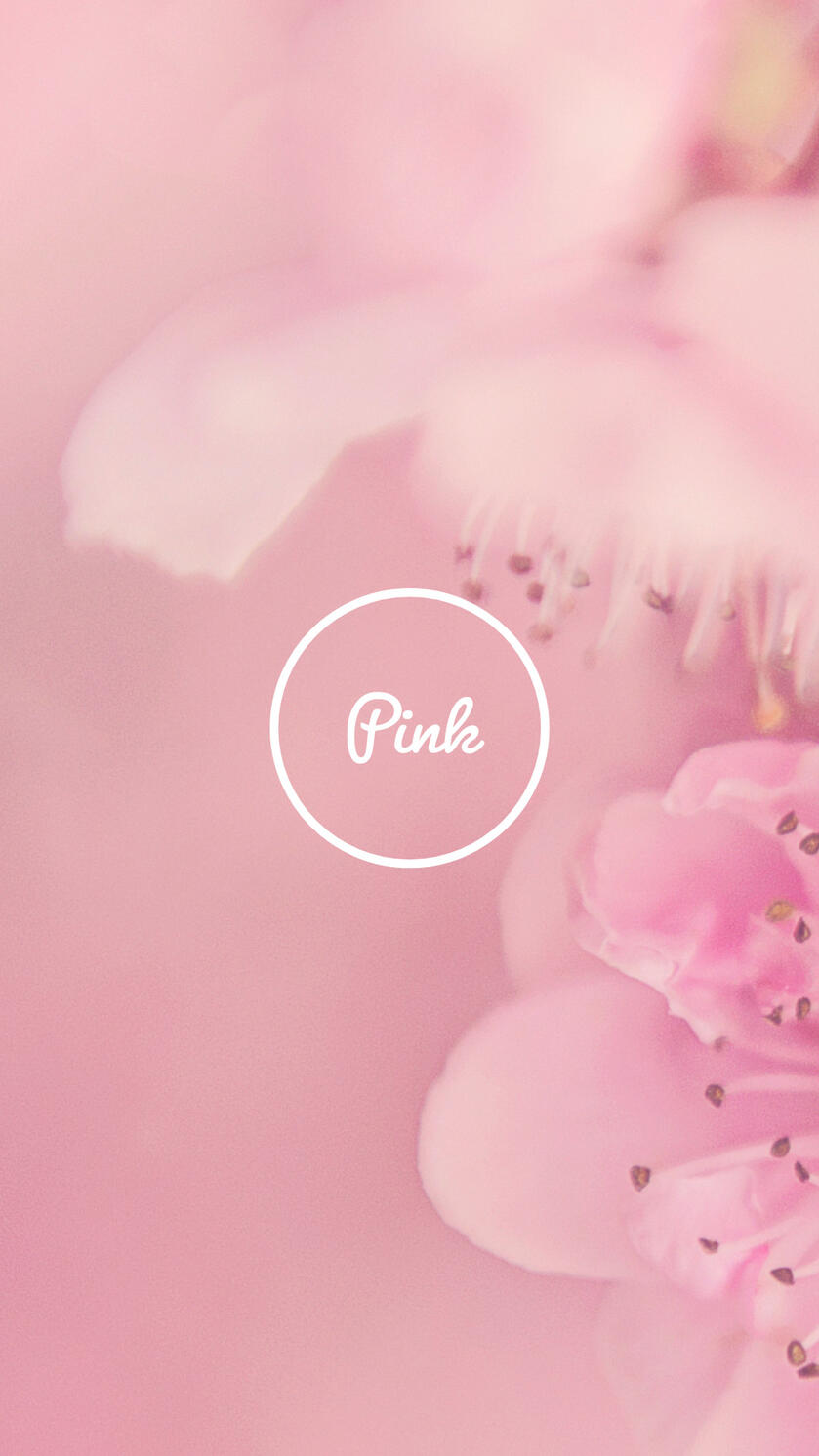 App launching screen 2023 March